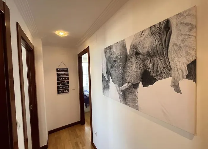 Apartamento La Salvé